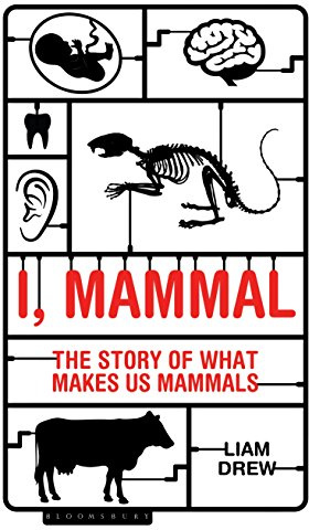 I, Mammal: The Story of What Makes Us Mammals (Bloombury Sigma)