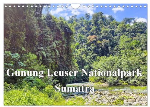Gunung Leuser Nationalpark Sumatra (Wandkalender 2026 DIN A4 quer), CALVENDO Monatskalender: Dschungeltour auf Sumatra (CALVENDO Orte)