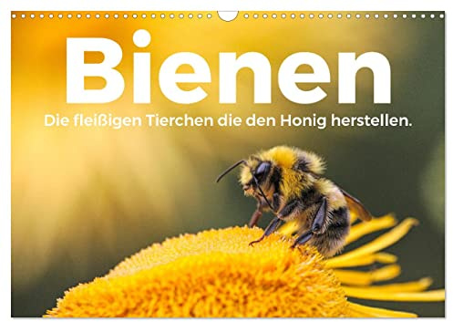 Bienen - Die fleißigen Tierchen die den Honig herstellen. (Wandkalender 2026 DIN A3 quer), CALVENDO Monatskalender: Erleben Sie einen Einblick die wunderbare Welt der Bienen. (CALVENDO Orte)