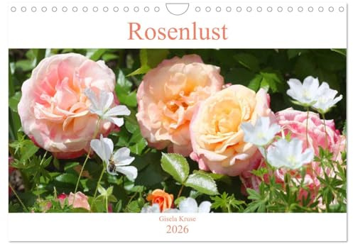Rosenlust (Wandkalender 2026 DIN A4 quer), CALVENDO Monatskalender: Leidenschaft für Rosen in bezaubernden Bildern festgehalten (CALVENDO Natur)