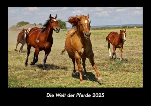 Die Welt der Pferde 2025 Fotokalender DIN A3: Monatskalender mit Bild-Motiven vom Sport, Fussball, Hockey, Football, Handball, Schwimmen