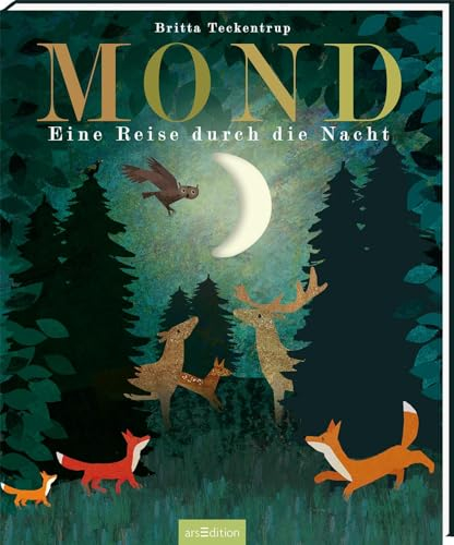 Mond: Eine Reise durch die Nacht | Gereimtes Bilderbuch zur Guten Nacht, mit Gucklöchern, hochwertig ausgestattet, für Kinder ab 4 Jahren (Britta Teckentrup Bilderbücher)