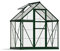 Canopia by Palram Gewächshaus klein Hybrid 6x4 Treibhaus 126x185 cm Aluminium Grün Tomatenhaus Polycarbonatplatten UV-beständig