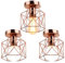 iDEGU Lot de 3 Lustre Plafonnier Industriel Rétro E27 Luminaire Abat-jour en Fer Vintage Lampe Suspension Cage Ø15cm Éclairage de Plafond pour Salon Chambre Cuisine (3 Pcs)