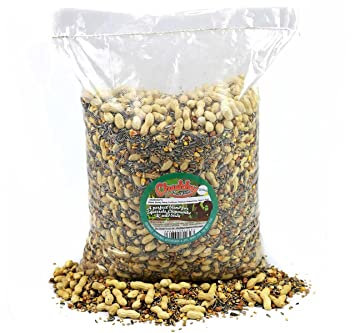 Chubby Mealworms Natural Seed & Nut Mix Forest Feast Squirrel Food 12.5kg Natural Seed & Nut Mix Food for Chipmunks & Squirrels, Feed Includes Sunflower, Peanuts, Naked Oats, Nuts in Shells