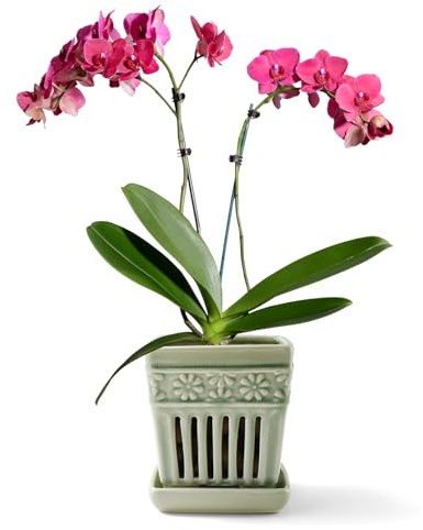 Quadratische Orchideentöpfe mit Löchern (grün)