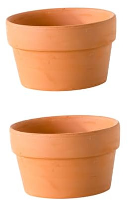 CAXUSD 2 vasi di terracotta per piante grasse vasi di terracotta con vasi di drenaggio, mini ceramica da pranzo, piccola decorazione in terracotta per piante grasse, cactus, terracotta, piante grasse