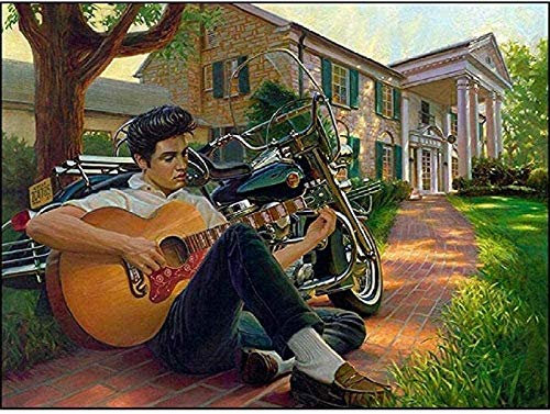 TPFRUPGD Famiglia per Adulti Suona il Puzzle per Chitar Puzzle da 1000 Pezzi Puzzle-Adulti per Bambini Giocattoli Intellettuale Giocattoli da Gioco per la Casa Decorazioni da Casa 1000 Pezzi