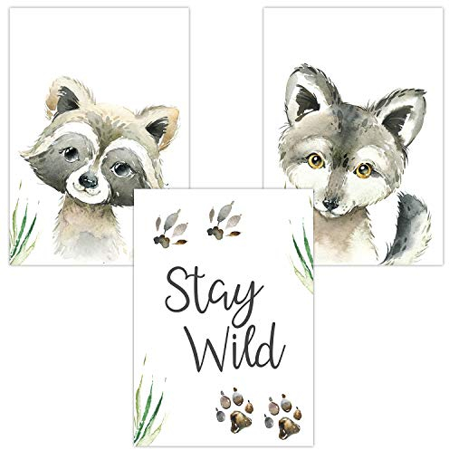 Olgs Poster Bilder 3er Set | Kinderzimmer Deko Wandbilder | Mädchen Junge Wandposter DIN A4 | Wanddeko für Babyzimmer | Waldtiere Stay Wild Waschbär Wolf