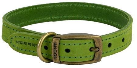 Ancol Green Leather Dog Collar for Dogs and Puppies - Top Grain Bridle Leather Pet Training Collar - Handcrafted in the UK - Durable and Supple Design - Size 26-31cm Size 2