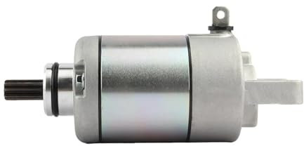 Aqxylzx Motorrad Anlasser B74-h1890-00 for CZD X-MAX 250 300 ABS EVOLIS 2015-2018 Supermoto Dirt Bike Motorrad Zubehör