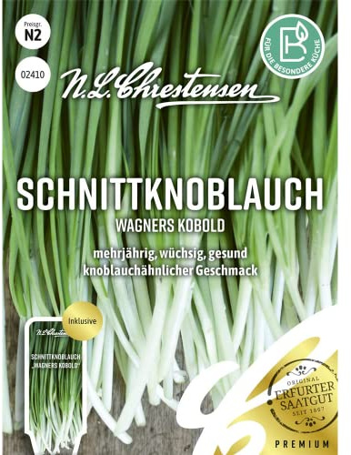 Schnittknoblauch Wagners Kobold, mehrjährig, wüchsig, gesund, Samen