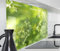 timalo Spritzschutz Wand für Herd, Küche Küchenrückwand Glasoptik | Acryl Glas 2mm | Glasrückwand Acrylglas Wandpaneele Rückwandschutz Platte | 60x40cm Grüne Kräuter Natur