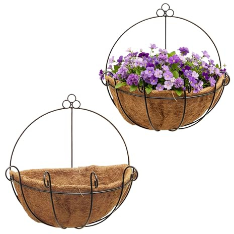 Esoes Hanging Plant Pot, Wall Mounted Hanging Basket for Outdoor, Iron Wall-Mounted Planter with Chain Hooks for Home Garden Balcony Decor (2 PCS)