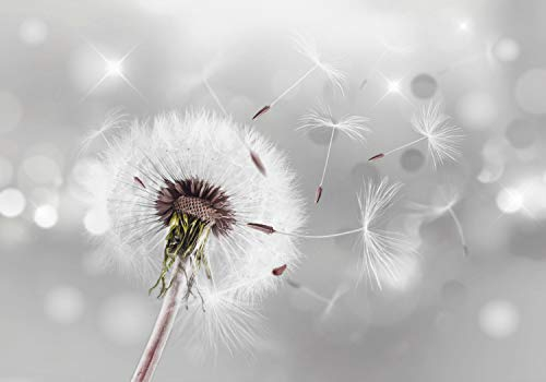 decomonkey Fototapete Pusteblume Natur 300x210 cm XL Tapete Fototapeten Vlies Tapeten Vliestapete Wandtapete moderne Wandbild Wand Schlafzimmer Wohnzimmer Blumen Abstrakt