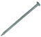 Drahtstifte feuerverzinkt 2,5 x 55 mm (5 kg)