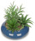 Briful Plantes succulentes artificielles dans un pot en céramique bleu - Plantes artificielles en pot - Plantes artificielles d'intérieur pour bureau, décoration de bureau, accessoires de maison