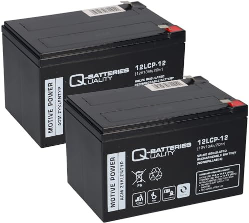 Kompatibler Accu Elektro Roller Scooter Elektromobil 24V 2X 12LCP-12 12V - 13Ah AGM QB