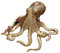 Figurine De Poulpe En Verre Soufflé À La Main | Statue De Polype En Laiton | Cadeau De Collection De Sculptures D'animaux Marins | Ornements De Statues En Verre De Poulpe | Figurine Miniature De