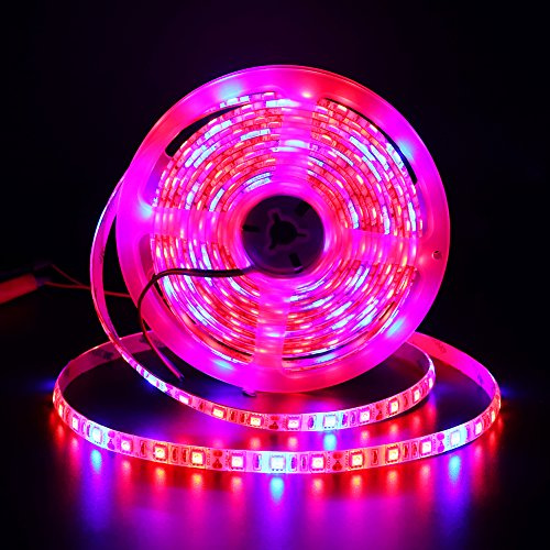 XUNATA 5M LED Pflanzenlicht Streifen, 12V 5050 LED Pflanzenlicht Vollspektrum Wachstumslampe Rot Blau 4: 1 mit Netzteil für Innengewächshaus-Wachstumslampen (Wasserdicht IP67)