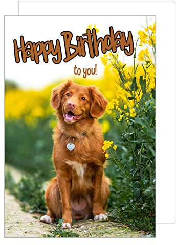 Edition Seidel Premium Geburtstagskarte mit Umschlag. Glückwunschkarte Grusskarte Billet Geburtstag Happy Birthday to you Mann Frau Hund Karte (G3304 SW023)
