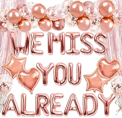 LaVenty We Miss You Already Geburtstag We Will Miss You Deko Banner Abschieds Party Dek Good luck Luftballons Wir Wir Werden Dich Vermissen Rentner Dekobanner