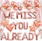 LaVenty We Miss You Already Geburtstag We Will Miss You Deko Banner Abschieds Party Dek Good luck Luftballons Wir Wir Werden Dich Vermissen Rentner Dekobanner
