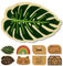 Astra paillasson Naturel Coco - paillasson Coco 40x60cm Monstera - Tapis Anti-dérapant Robuste - extérieur paillasson intérieur - paillasson extérieur Couvert
