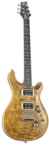 Fame Forum IV Modern Serie M E-Gitarre, elektrische Gitarre mit Humbucker Tonabnehmer, Electric Guitar mit braune Riegelahorndecke, Forum Double Cut