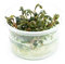 Bucephalandra 'Kedagang' 1-2-Grow! In-Vitro -TOP RARITY - Live Aquarium Plant