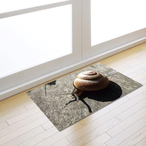 Fußmatte Grau Braun Insekt Rugs for Living Room Polyester Fussmatte Aussen Fußmatte Außen Innen Waschbar Teppiche Wohnzimmer Fusmatte Schmutzfangmatte Fußmatten Haustür Verdicken Doormat 150x200cm