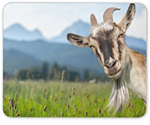 Funny Goat Mouse Mat Pad - Goats Animal Sheep Cute Fun PC Computer #8515
