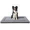 WESTERN HOME Hundematte Grosse Hunde Waschbar Hundebett Hundekissen Schlafplätze & möbel für Hunde grau 105.4X69.8X4cm