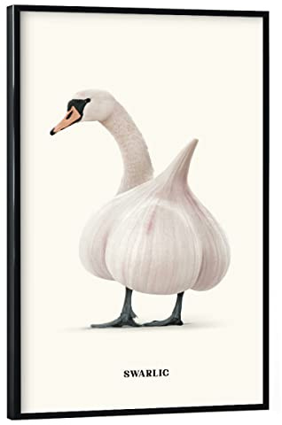 artboxONE Poster mit schwarzem Rahmen 30x20 cm Tiere Swarlic hochwertiger Design Kunstdruck - Bild swan Animals Birds