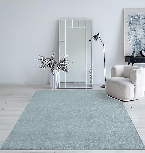 Mia´s Teppiche Taos kuscheliger Kurzflor Teppich, Anti-Rutsch Unterseite, Waschbar bis 30 Grad, Super Soft, Felloptik, Blue, 240 x 340 cm