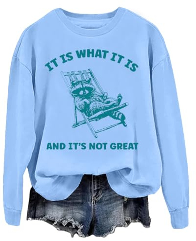 It Is What It Is And Its Not Great Sweatshirt & Hoodie Lustiger Waschbär It Is What It Is Shirt Unisex