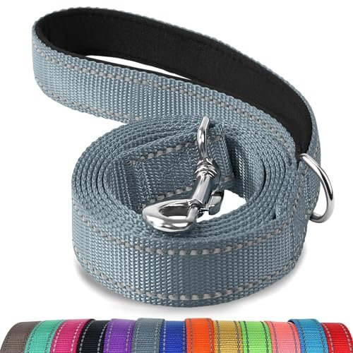 Joytale Padded Handle Dog Lead, Double-Sided Reflective Nylon Leads for Training, Walking Leash for Small, Medium Dogs, 1.2m × 2cm, Grey