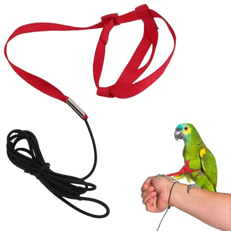 Vogel Geschirr, Verstellbares Leicht Haustier Fluggeschirr Vogel Fluggeschirr Leine Outdoor Aktivitäten Training Anti Biss Training Für Sittiche, Nymphensittiche, Alexandriner, Scharlachrot, Keck(L)