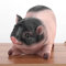 Akozon Miniatur-Schwein-Gartendekoration – Niedliche Grasschwein-Figur für Rasen- und Gartendekoration