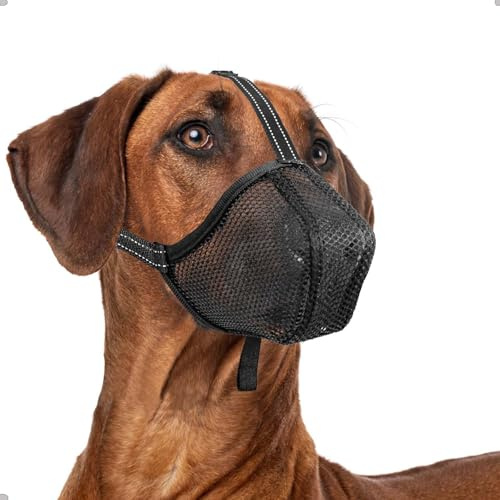 ILEPARK Maulkorb für Hunde, Weicher Netz Maulkorb Einstellbare Passform für Welpen Kleine Mittlere Große Hunde, Maulkorb Anti-Biss Anti-Kauen, Atmungsaktiv(XL, Schwarz)