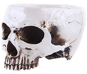 Resin Halloween Skull Head Flower Pot Plant Bowl Container Garden Planter Container (White)