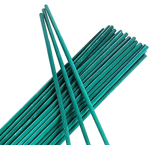 Tenax Bamboo Stick, Tuteurs pour Plantes, Hauteur 50 cm Vert, 15 Pièces, Petits Tuteurs en Bambou Naturel pour Soutenir Les Plantes et Les Fleurs en Pots
