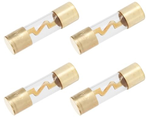 4 Stück Glassicherungen für Audio/Video Anlage für Auto, LKW, Wohnmobil 20A/30A/40A/50A/60A/80A, Ø 10mm x L 3,8cm (50A)