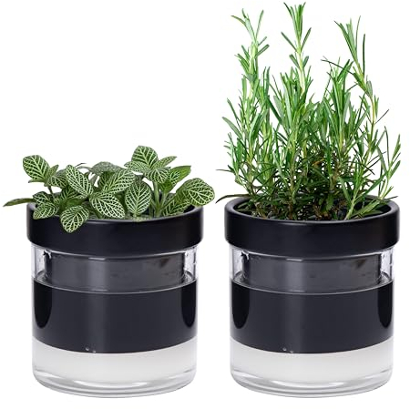 Phoenix Vine 4 Inch Self Watering Planter Pot, Black Terracotta Clay Pot with Glass Reservoir for Indoor Plants, Herbs, Flowers, Set of 2, 52-C-E-2