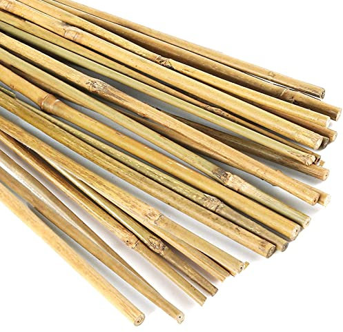 20 Stück 45,7 cm natürliche Bambus-Pflanzenstützstäbe für Zimmerpflanzen, Bambusstäbe, Stangen, Garten-Bambuspfähle für Topfpflanzen, Tomaten, Bohnen