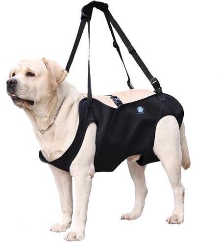 KAJILE Imbracatura di Sollevamento/Trasporto per Cani,Cinghie di Sostegno e Di riabilitazione Dell'imbracatura per Animali Domestici per Anziani,Disabili,Iesioni Articolari,Artrite,Nero,M