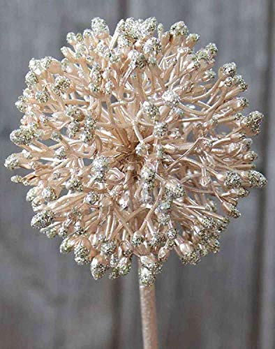 artplants.de Allium Kunstblume Hella, Glitzer, Champagner, 45cm - Zierlauch Künstlich/Kunst Allium