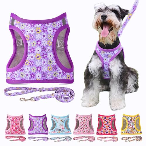 Moonpet Step in Air Hundegeschirr Leine Set – Reflektierendes Blumenmuster gepolsterte Netzweste Geschirr für Katzen, Welpen, extra kleine, kleine, mittelgroße Hunde-Violette Blume, XS