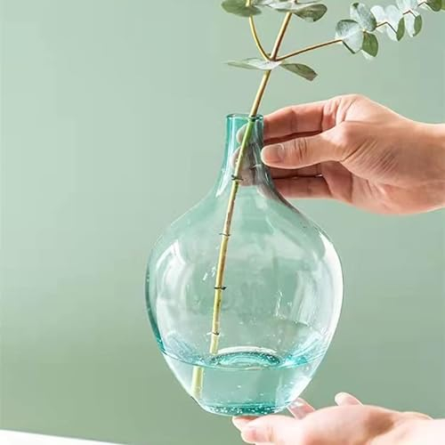 SUNMME Vase Gros Ventre Vase en Verre Maison Salon Arrangement de Fleurs Sol hydroponique Transparent Grand Vase Noir