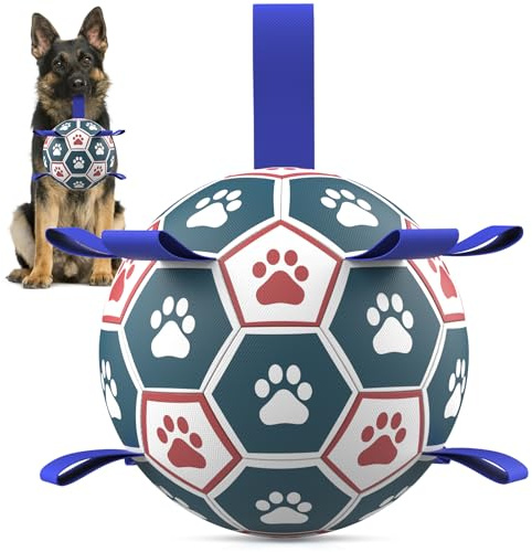 HETOO Hundeball Hundespielzeug Ball mit Seil Hundefußball (8 Zoll Blau) | Interaktive Hunde Ball für Touring, Langlebig Hoher Sprung Schwimmende Ball für Hunde Geburtstagsgeschenke Indoor Outdoor
